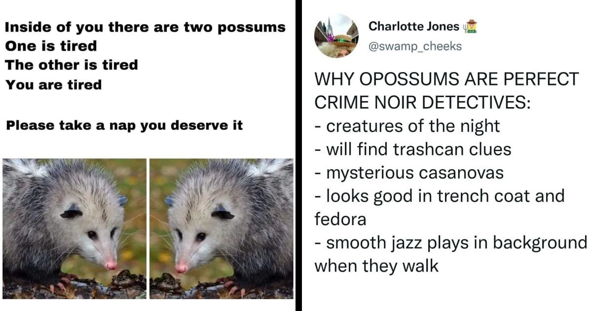 31 Opossum Memes For Trash Goblin Sympathizers - Memebase - Funny Memes