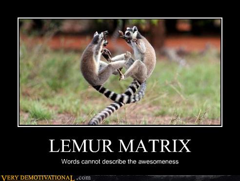 Very Demotivational I Know Kung Fu Very Demotivational Posters Start Your Day Wrong Demotivational Posters Very Demotivational Funny Pictures Funny Posters Funny Meme Cheezburger