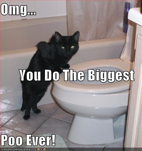 Omg... You Do The Biggest Poo Ever! - Cheezburger - Funny Memes | Funny ...