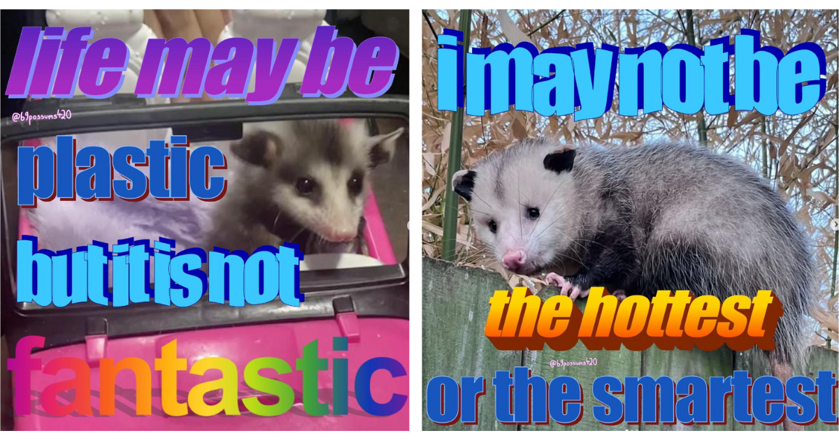 23 Overwhelmed Opossum Memes to Help You Get Through This Monday