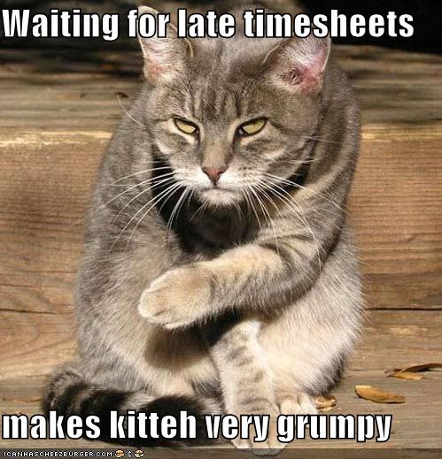 Waiting for late timesheets makes kitteh very grumpy 