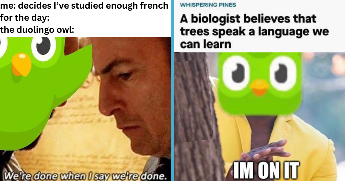 25 Duolingo Memes for Language Learners Who Fear the Green Owl - Geek ...