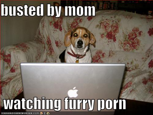 Furry Mom Porn - busted by mom watching furry porn - Cheezburger - Funny ...