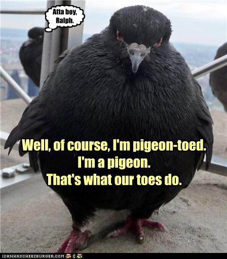Toed