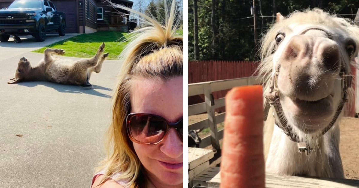 32 Unforgettable Animal Moments That Bring Good Giggles and Good Vibes ...