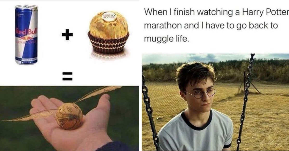 33 Harry Potter Memes for Quidditch Fans Trying to Catch the Snitch