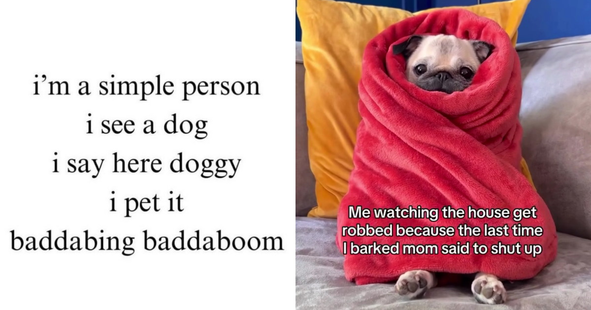 The Woof of Wall Street 26 Dog Memes to Invest in Some Silly Smiles