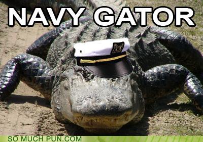 Puns - alligator - Funny Puns - Pun Pictures - Cheezburger