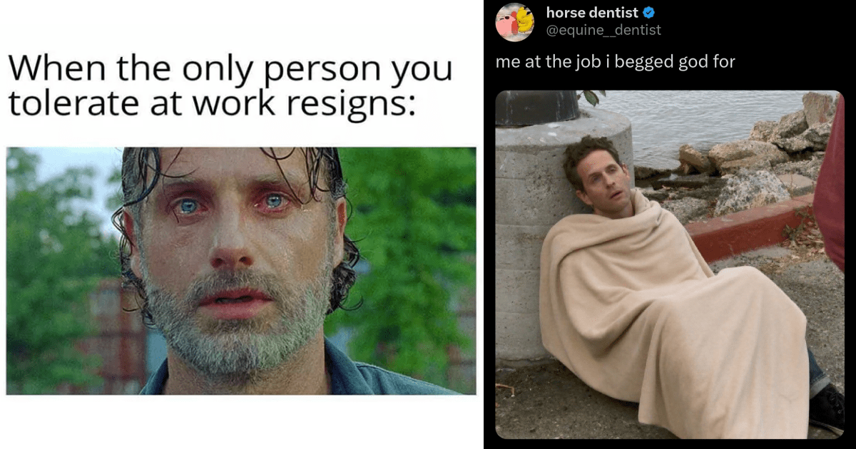 suche arbeit meme