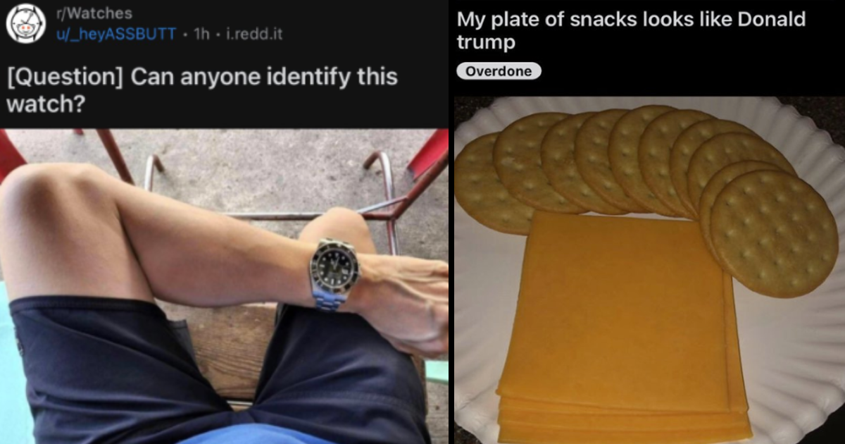 The Funniest Reddit Posts of the Week (December 12, 2024) - Memebase ...