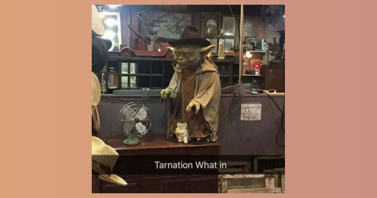 22 Cowboy Memes That Aren't At Their First Rodeo - Memebase - Funny Memes