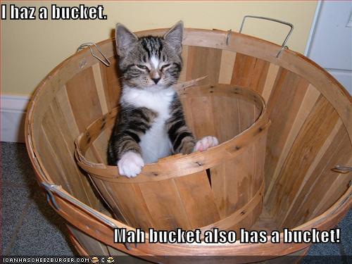 I haz a bucket. Mah bucket also has a bucket! - Cheezburger - Funny ...