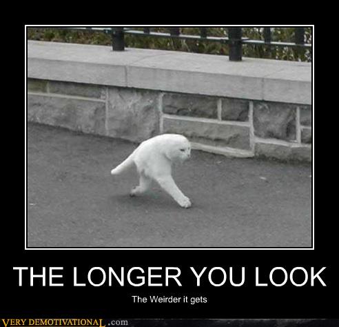 The Longer You Look - Very Demotivational - Demotivational Posters ...