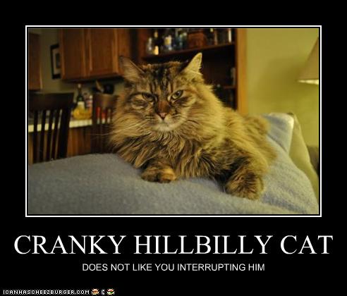 CRANKY HILLBILLY CAT - Cheezburger - Funny Memes  Funny 