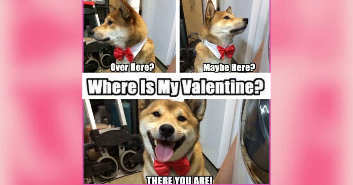Pre-Valentine’s Memes for Relationship Veterans Reciting Sweet ...