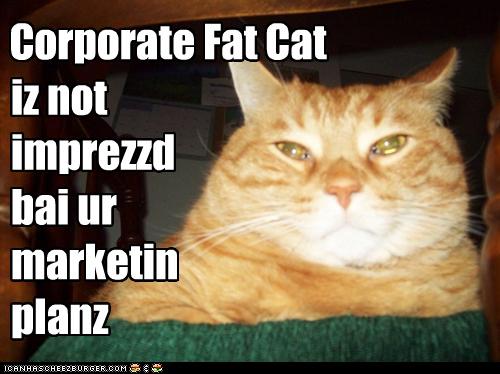  Corporate Fat Cat  Cheezburger Funny Memes Funny Pictures