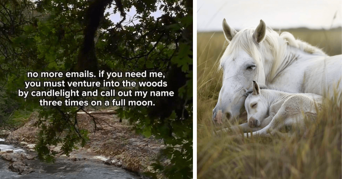 23 Soothing Posts to Safely Still Your Stress With the Peaceful Power of Nature