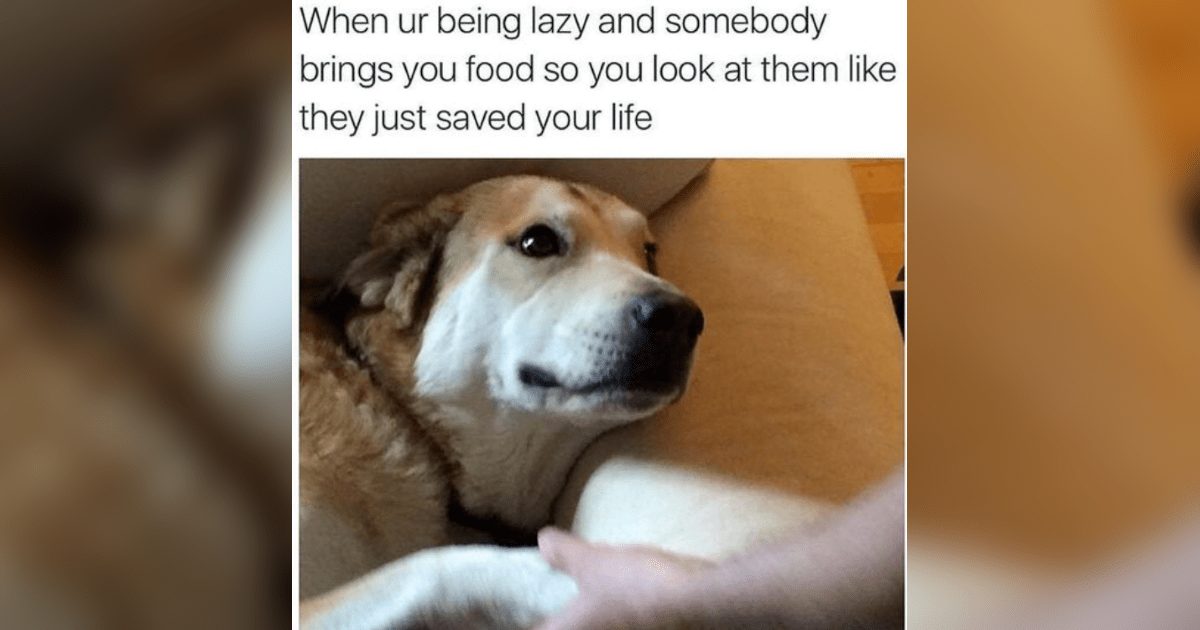 The Best Heartwarmingly Wholesome Memes and Posts of the Week (March 13, 2025)