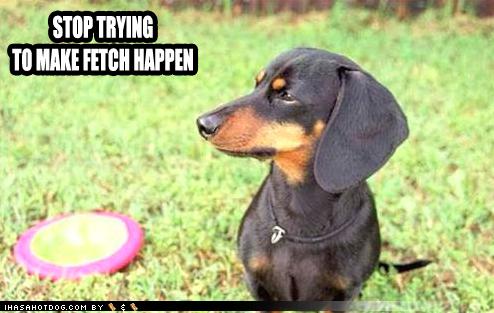 I Has A Hotdog - Dog Pictures - Funny pictures of dogs - Dog Memes ...