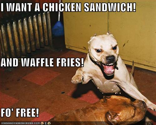 I Want A Chicken Sandwich And Waffle Fries Fo Free Cheezburger Funny Memes Funny Pictures