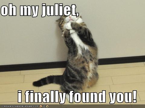 Oh My Juliet I Finally Found You Cheezburger Funny Memes