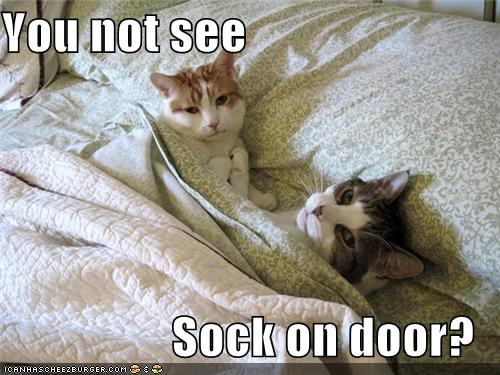 You Not See Sock On Door I Can Has Cheezburger