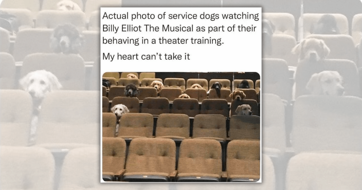 26 Wholesome Animal Memes to Uplift Your Vibe from Moan-day to Monday (April 28, 2025)