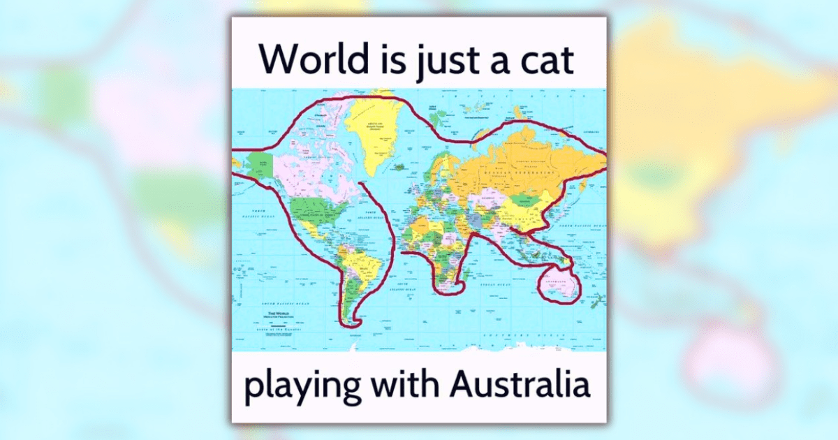 28 Cat Memes Teaching You How to Live by the Way of the Cat