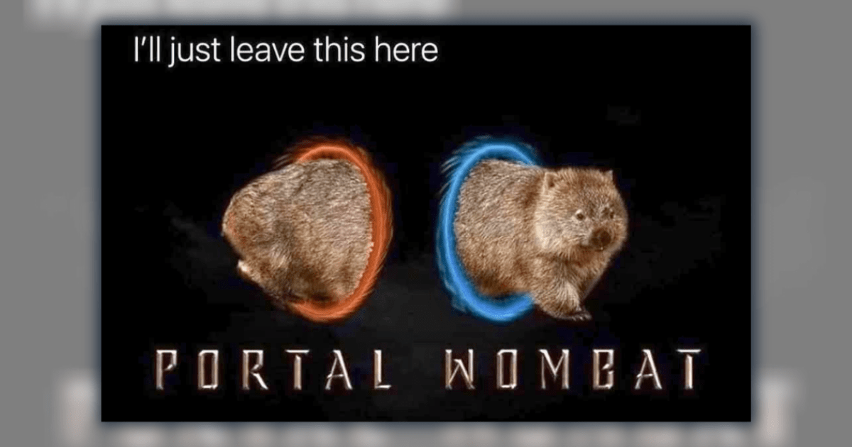 23 Gamer Animal Memes for Pawrents Who Game With a Cat on Their Lap