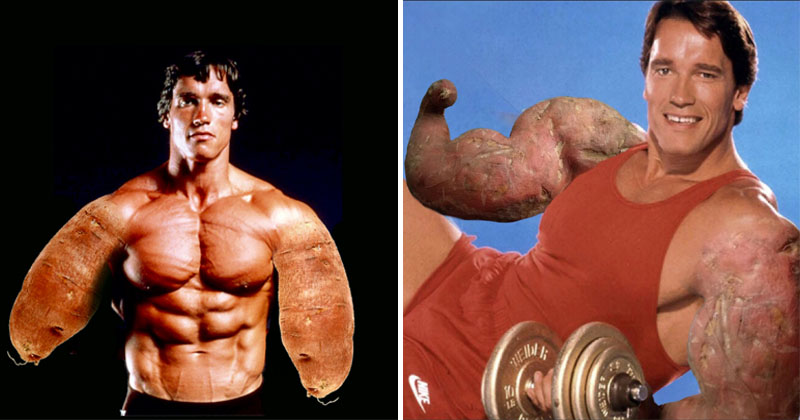 Arnold Schwarzenegger With Sweet Potato Arms Is Our Favorite