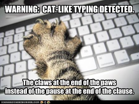 Image result for cat like typing