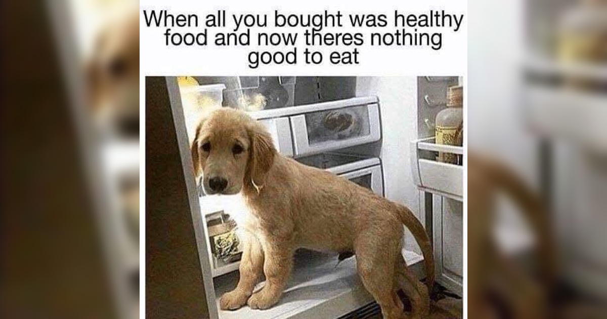30 Memes to Jam With
