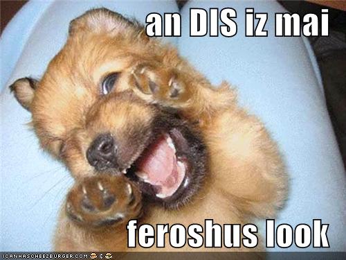 funny #zesty #dog #icespice