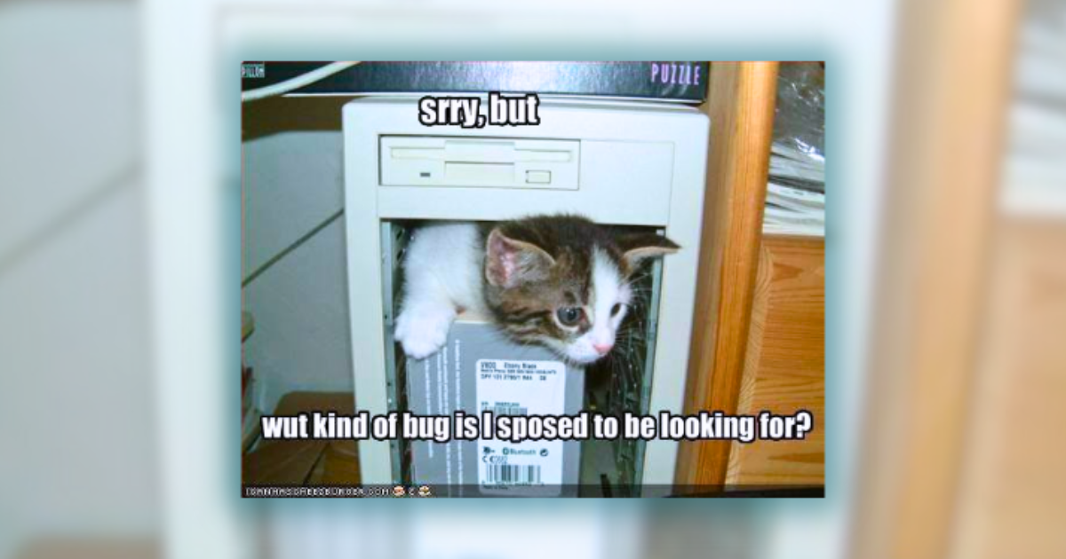 26 Classic Cat Memes to Celebrate the Weekend - I Can Has Cheezburger?