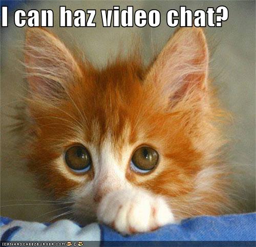 I can haz chat