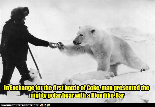 Historic LOLs - polar bear - funny pictures history - Cheezburger