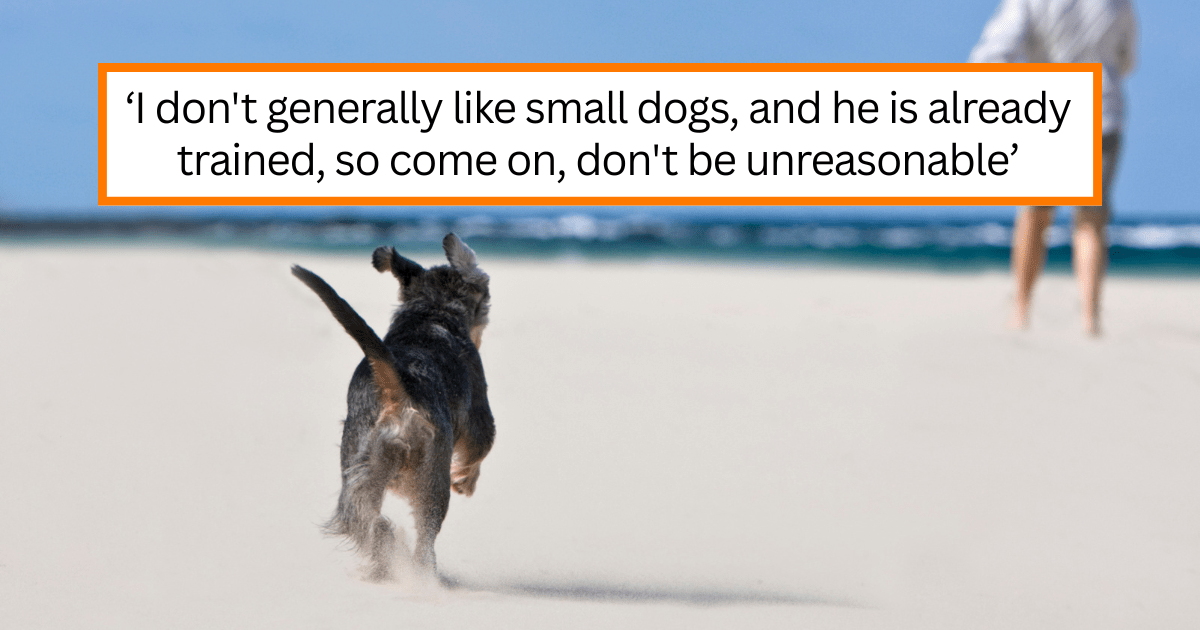 'I am not selling you my dog!': Entitled father tries to buy dog trainer's personal puppy, and when she refuses, he tries to steal the doggo in broad daylight