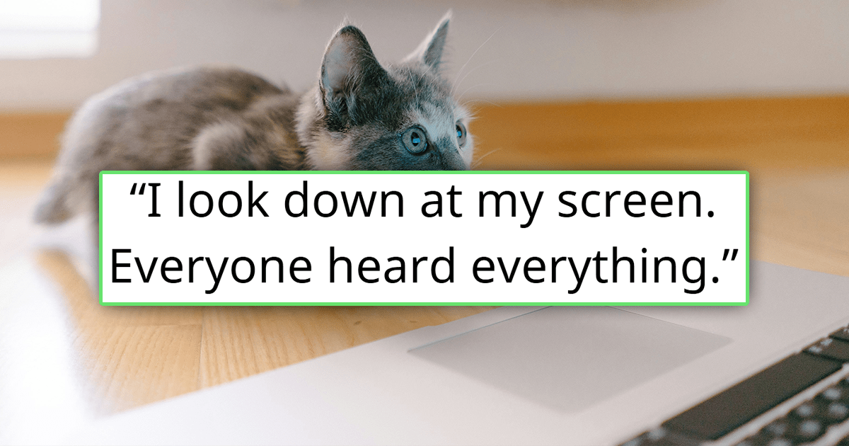 Office employee on a useless Teams meeting starts cleaning and talking nonsense to their cat throughout, only to find out they were not muted and have their boss hear and comment on it: 'No, you can't eat plastic. You tiny moron'