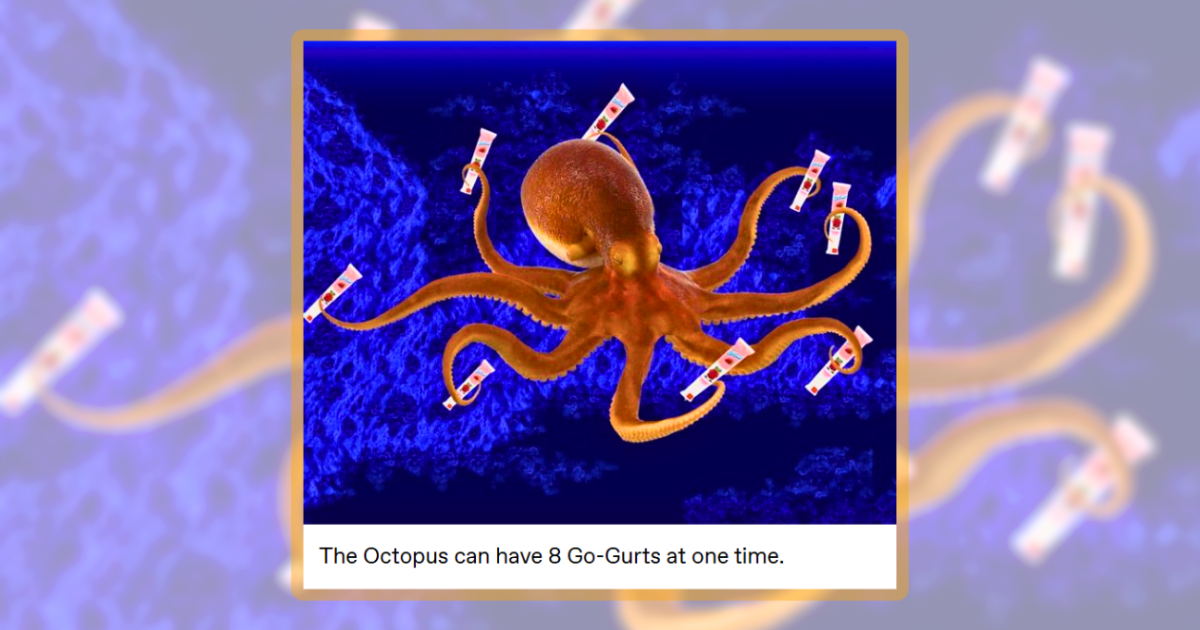 25 Aquatic Animal Memes That Blub Out Sea-riously Silly Time to Your ...