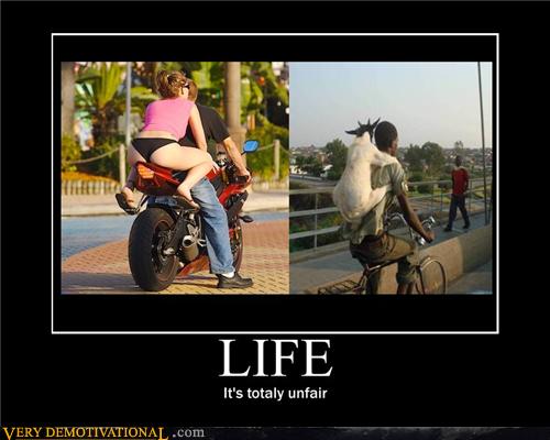 Very Demotivational Sexy Ladies Page 11 Very Demotivational Posters Start Your Day Wrong 7192