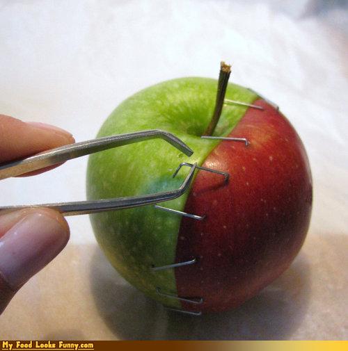 Classic Granny Smith Apple- {Funny Pic}  Funny vegetables, Funny fruit,  Food humor