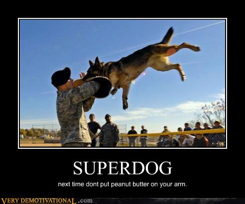 SUPERDOG - Very Demotivational - Demotivational Posters | Very ...