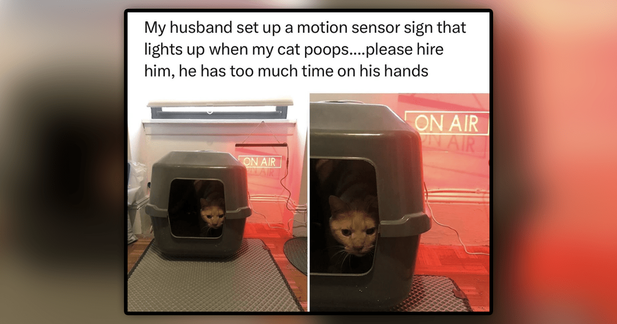 22 Hissterical Feline Memes Carefully Curated by the ICHC Cat Connoisseurs - I Can Has Cheezburger?