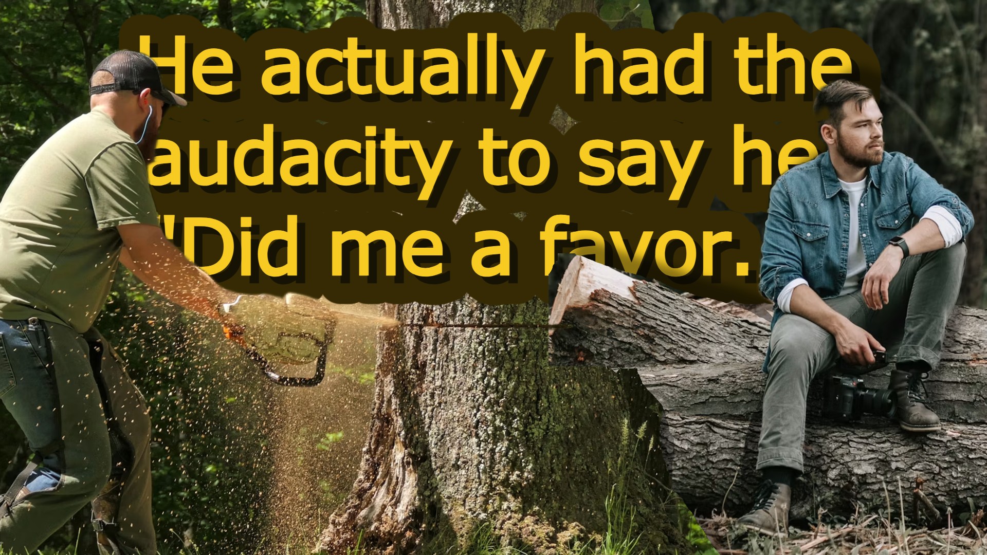 Oregon Homeowner Returns From 10-Day Vacation To Discover His Neighbor Has Removed His 40-Year-Old Mature Oak Tree, Which Was Fully on His Property—Neighbor Claims He Did the Homeowner “A Favor”