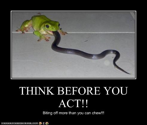 Free Dating Sites >> THINK BEFORE YOU ACT!! - Cheezburger - Funny Memes | Funny Pictures Free Dating Sites >> THINK BEFORE YOU ACT!! - Cheezburger - Funny Memes | Funny Pictures