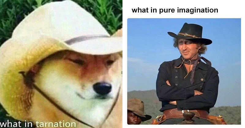 2017 In Review: The 20 Best "What In Tarnation" Memes ...