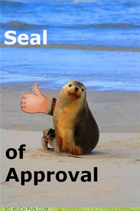 Puns - seal of approval - Funny Puns - Pun Pictures - Cheezburger