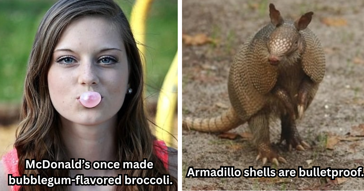 18 Random Facts That’ll Make You Sound Smarter Than You Actually Are ...