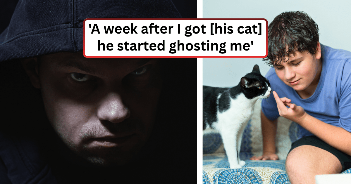 'I have no idea when he'll finally want to take responsibility for his cat': Highschooler agrees to take care of a friend's kitten, but he ghosts him and says it might take 2-3 years