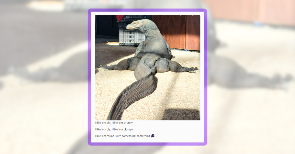 20 Sassy Scaly Lizard Memes for When You Need Reptile Relief - Animal ...